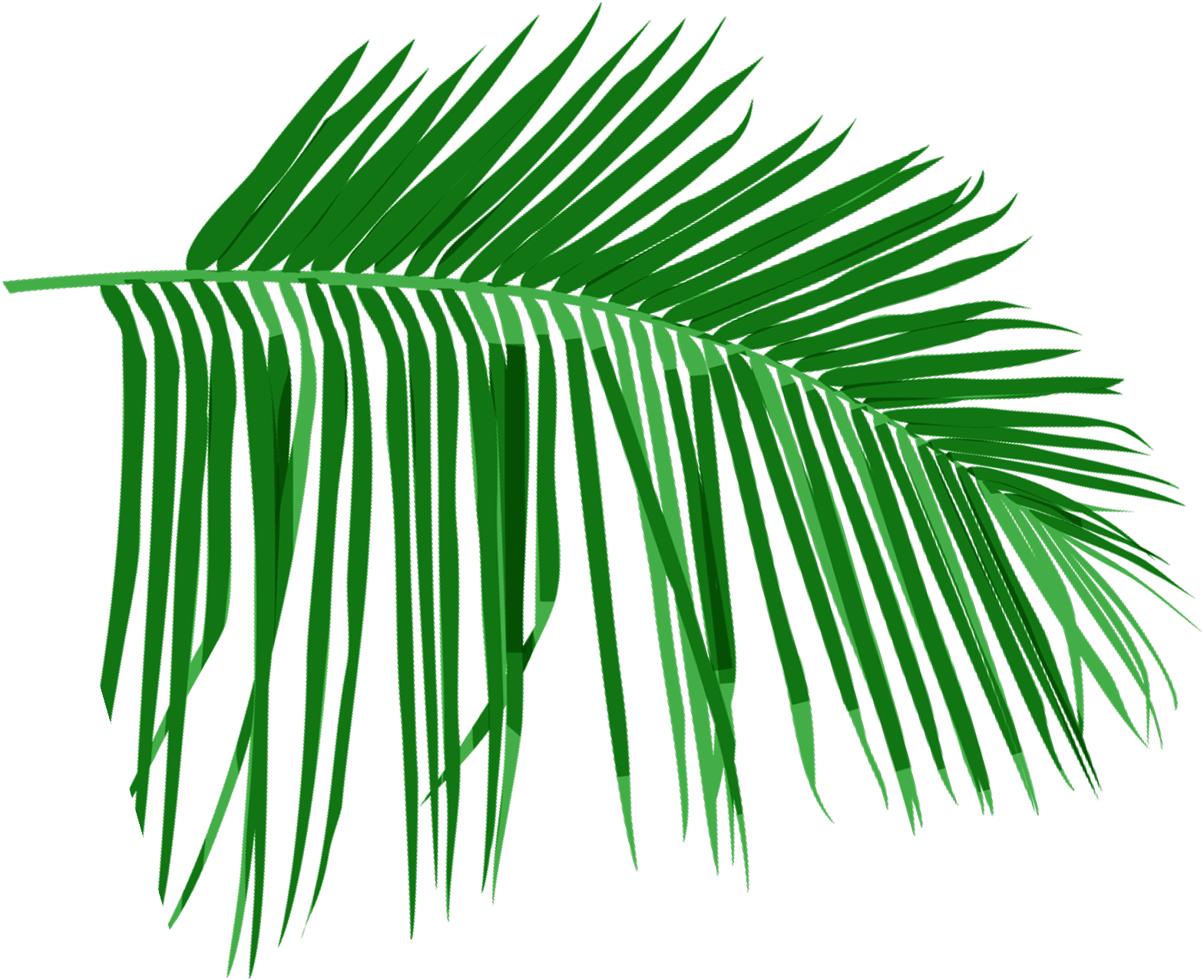 Palmera decorativa
