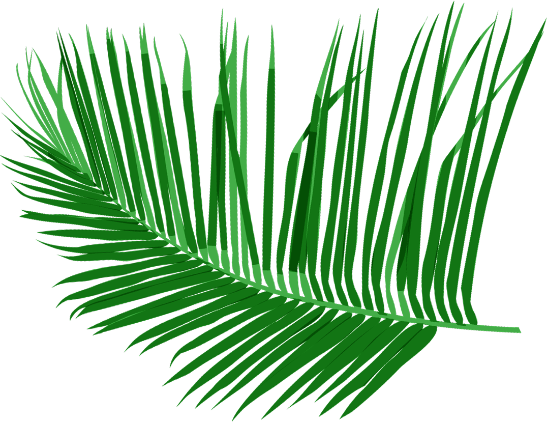 Palmera decorativa